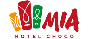  MIA Hotel | Chocó, Quibdo